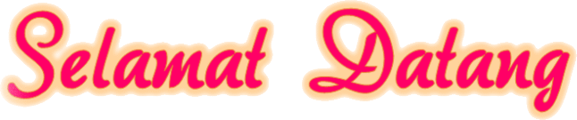 Mpo911 